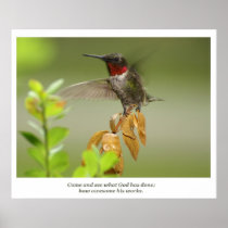 Awesome Hummingbird
