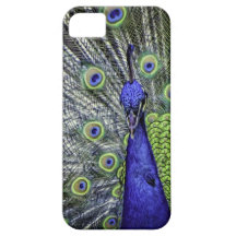 Awesome Peacock iPhone 5 Case