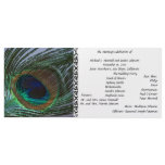 Awesome Peacock Wedding Program rack cards