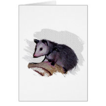 Awesome Possum Opossum Greeting Card