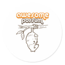 Awesome Possum