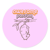 Awesome Possum Round Stickers