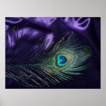 Awesome Purple Peacock Feather