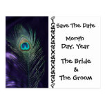 Awesome Purple Peacock Save the Date Postcard