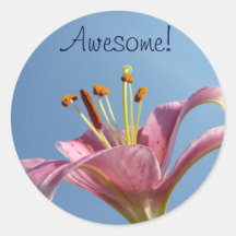 Awesome! stickers Blue Sky Pink Lily Flowers