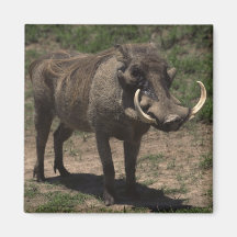 Awesome Warthog Refrigerator Magnet