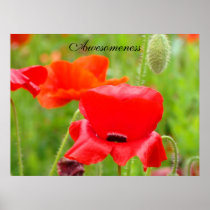 Awesomeness art prints Red Poppies Flowers Meadow