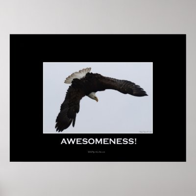 AWESOMENESS Motivational Eagle Poster by RavenSpiritPrints