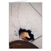 awkward mole greeting card