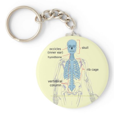 Axial skeleton diagram for medical students keychain by splashartworks2x