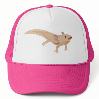Axolotl Hat by zezooeu