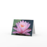 AY- Pink Lily Notecards