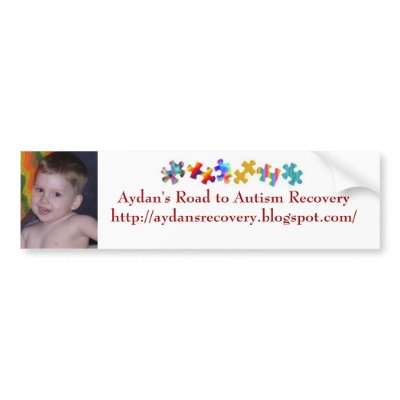 Aydan's Angels Bumper Sticker by april243