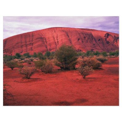 Ayers Rock, Uluru National Park, Australia Desert Personalized Flyer by beautifulclicks