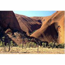 Ayers Rock, Uluru National Park, Northern Territor Acrylic Cut Outs