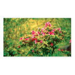 Azalea blooming - Pocket calendar
