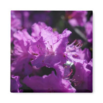 Azalea Blossom Magnet