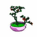 Azalea Bonsai Orange Flowers Bonsai Graphic Photo Cutout