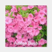 Azalea Bush Refrigerator Magnet