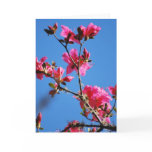 Azalea flower and meaning card