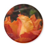 AZALEA FLOWER MAGNETS Floral Magnet Art