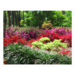 Azalea Gardens