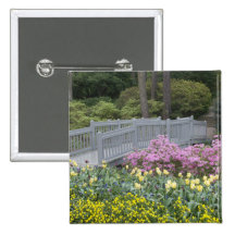 Azalea Heath Family (Ericaceae), Tulip, and Pinback Buttons