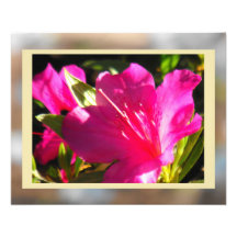Azalea in Violet Art Photo