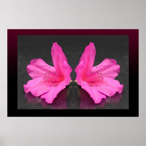 Azalea Mirrored Poster