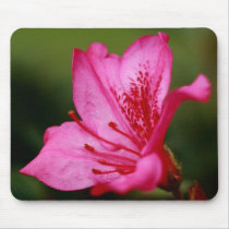 Azalea Mouse Pads