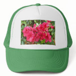 Azalea products mesh hats