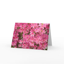 AZALEAS  Azalea Flowers GREETING CARDS CARD NOTE