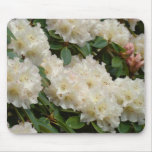 AZALEAS Azalea Flowers MOUSE PADS MOUSEPAD