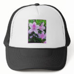 Azaleas bloom hat