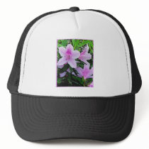 Azaleas bloom hat