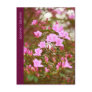 Azaleas blooming in springtime post card