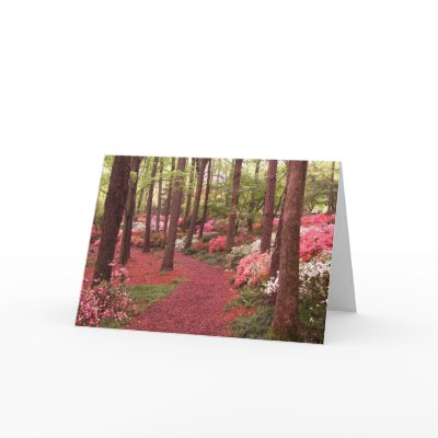 azaleas greeting cards by ktyqueen
