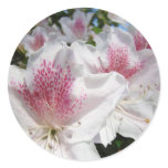 Azaleas Flowers stickers Envelope Seals Pink