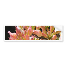 AZALEAS FLOWERS Summer 9 Azaleas Cards Gifts Mugs