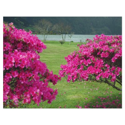 Azaleas Full Color Flyer by gavila_pt