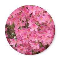 AZALEAS MAGNET Pink Azalea Flowers MAGNETS Gifts