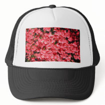Azaleas. Pretty Pink Flowers. Mesh Hats