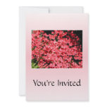 Azaleas. Pretty Pink Flowers. Custom Announcement