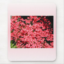 Azaleas. Pretty Pink Flowers. Mousepad