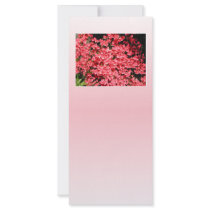 Azaleas. Pretty Pink Flowers. Rack Card Template