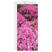 Azaleas Customized Rack Card