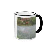 Azaleas relfecting in a pond during early mugs