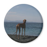 azasea fridge magnet