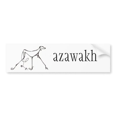 Azawakh Bumper Sticker Design by David Moore by azawakhcom