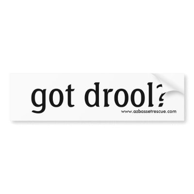 AZBHR got drool? Bumper Sticker by azbassetrescue